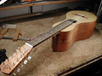 Music Instrument