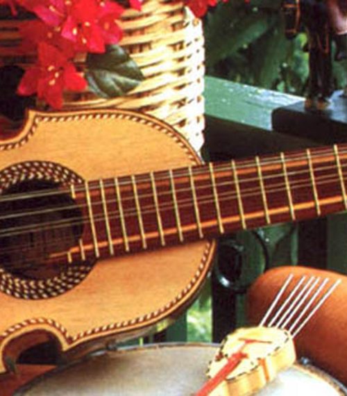 Musician Instrument