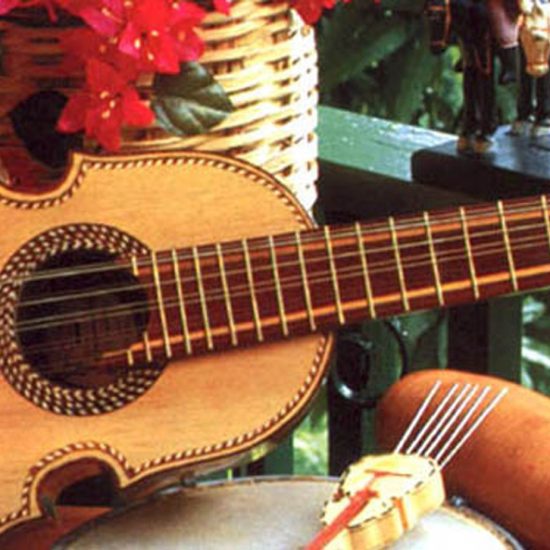 Musician Instrument
