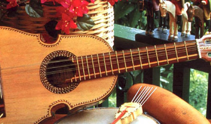 Musician Instrument